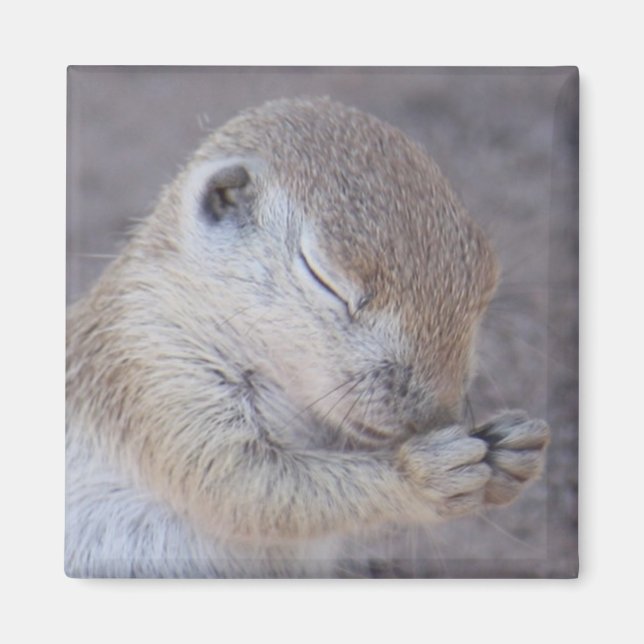 Grace Magnet (Devant)