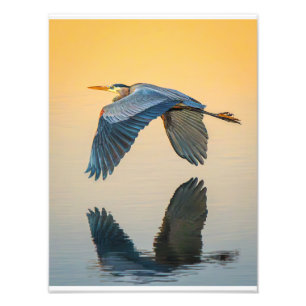 Grace Over Still Water Poster