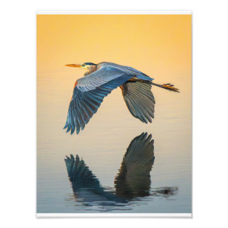 Grace Over Still Water Poster