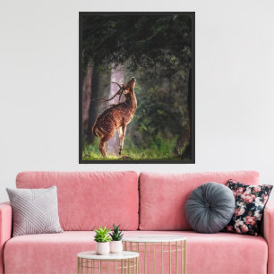 Graceful Deer Reaching for Leaves Serene Wildlife Canvas Print