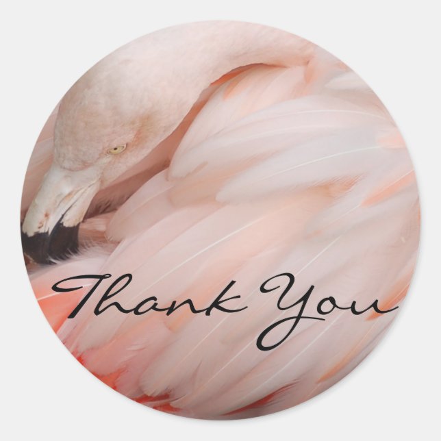 Graceful Flamingo Thank You Classic Round Sticker (Front)