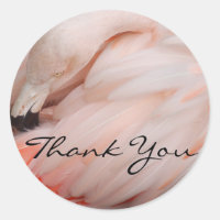 Graceful Flamingo Thank You