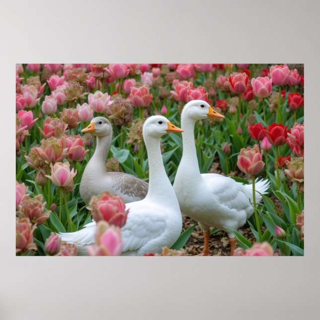 Graceful Geese in Blooming Garden Animal Lover Poster (Front)