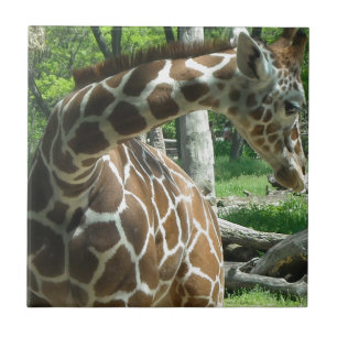 Graceful Giraffe Tile