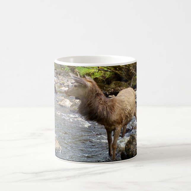 Graceful Highland Young Red Deer Stag Scenic Art Coffee Mug (Center)