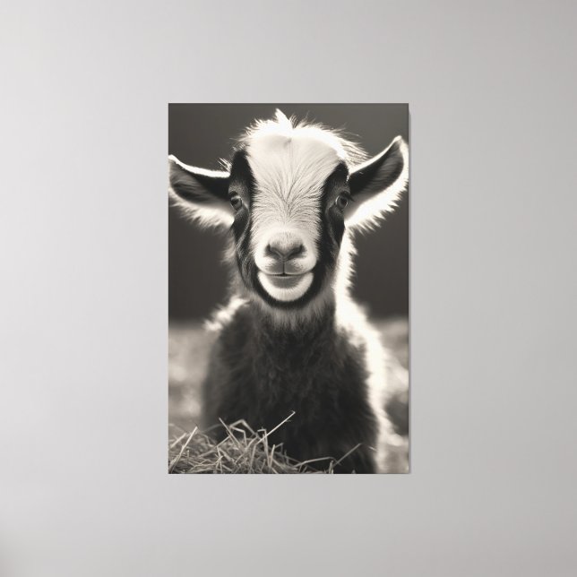 Graceful Monochromatic Expressive Baby Goat Portra Canvas Print (Front)