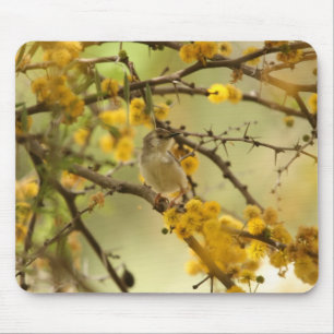 Graceful Prinia Mouse Pad