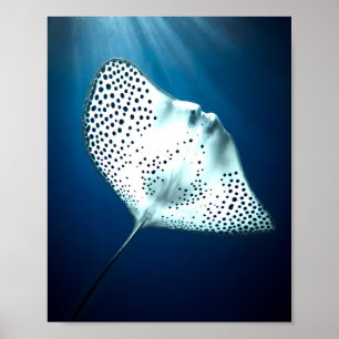 Graceful Spotted Ray: Underwater Serenity Poster