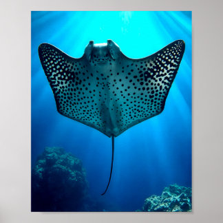Graceful Spotted Ray: Underwater Serenity Poster