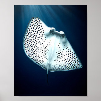 Graceful Spotted Ray: Underwater Serenity Poster