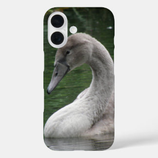 Graceful Swan on the Water iPhone Case