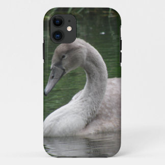 Graceful Swan on the Water iPhone Case