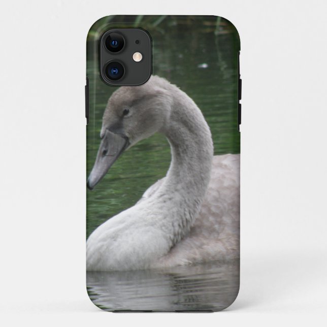 Graceful Swan on the Water iPhone Case (Back)