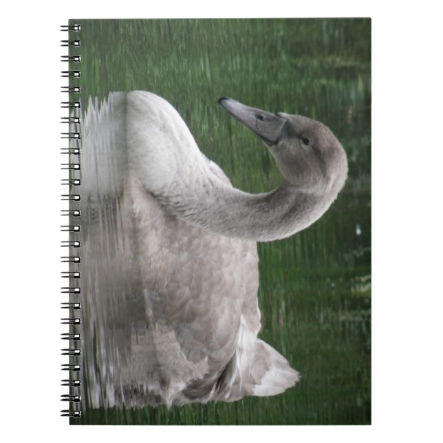 Graceful Swan on the Water Notebook (Front)