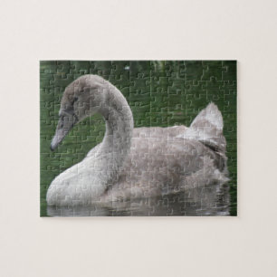 Graceful Swan on the Water Puzzle