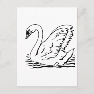 Graceful Swan Postcard