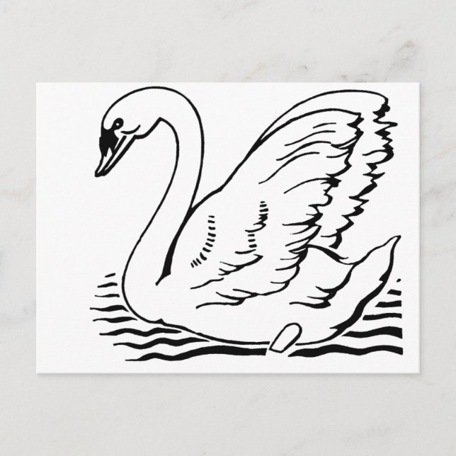 Graceful Swan Postcard (Front)