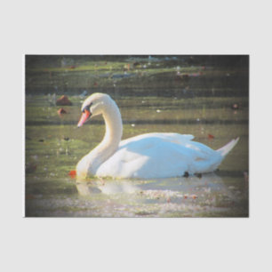 Graceful Swan Tissue Paper