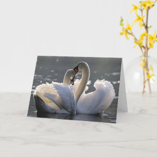 Graceful swans card