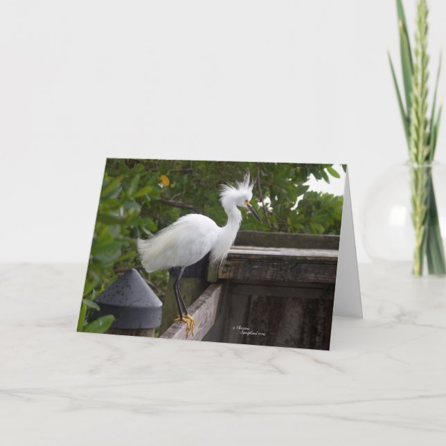 Graceful white egret bird Note Cards (Front)