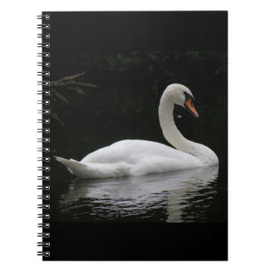 Graceful White Swan Notebook