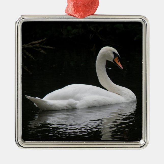 Graceful White Swan Ornament (Front)
