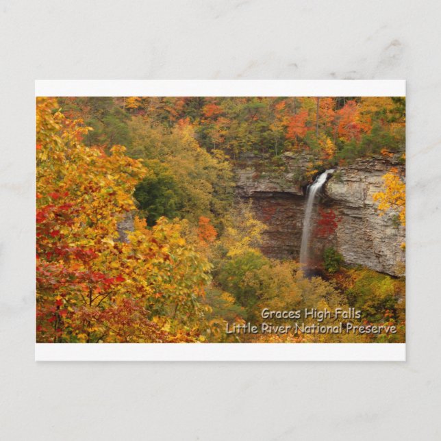 Graces High Falls Postcard (Front)