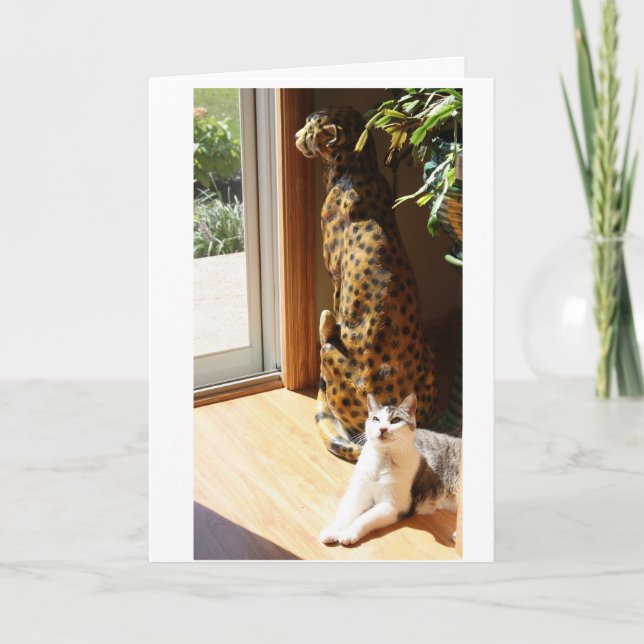 Gracey and Bad Kitty Sunbathing Card (Front)