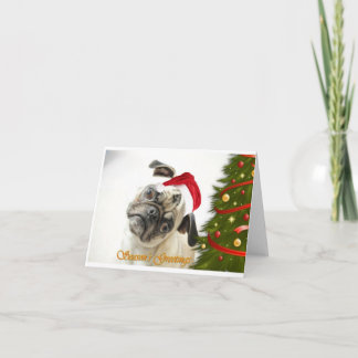 Graceysue Christmas Card