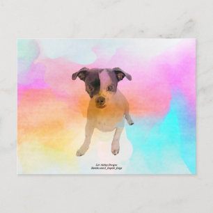 Gracie Disco Blank Postcard