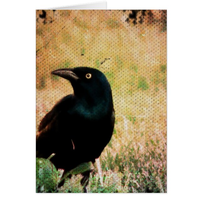 Grackle Bird All Occasions Greeting Card (Front)