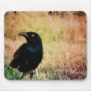 Grackle Bird Mouse Pad