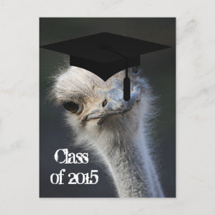 Grad Announcement Postcard