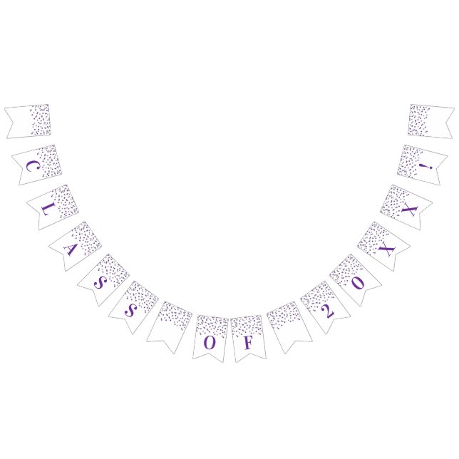Grad Class Year Banner Purple Silver Confetti (All)