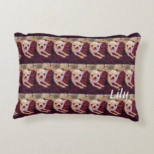 Grade A Cotton Accent Pillow 16" x 12"