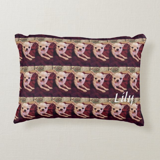Grade A Cotton Accent Pillow 16" x 12" (Back)
