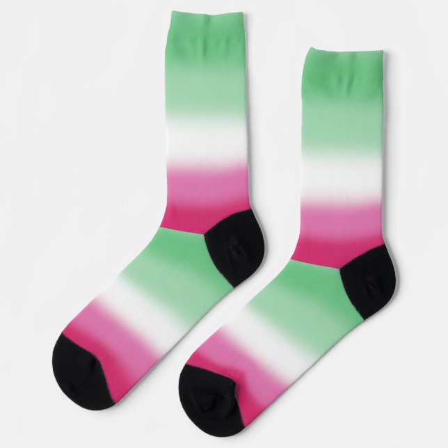 Gradient Abrosexual Pride Flag  Socks (Left)