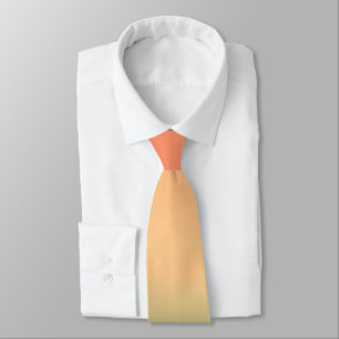 Gradient ombre coral blush beige green soft blurre tie