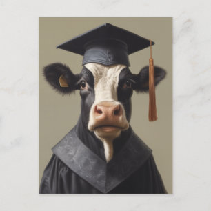 Graduate Cow Postcard
