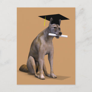 Graduate Coyote Announcement Postcard