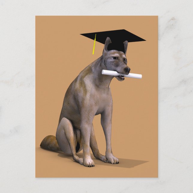 Graduate Coyote Announcement Postcard (Front)