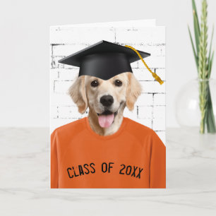 Graduate Golden Retriever Orange T-shirt Card