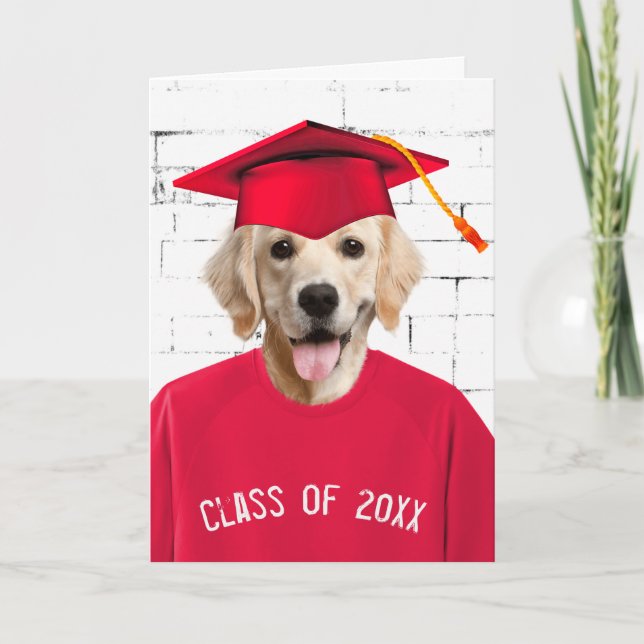 Graduate Golden Retriever with Red Cap  Card (Front)