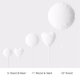 Graduate Modern 2 Photo Balloon