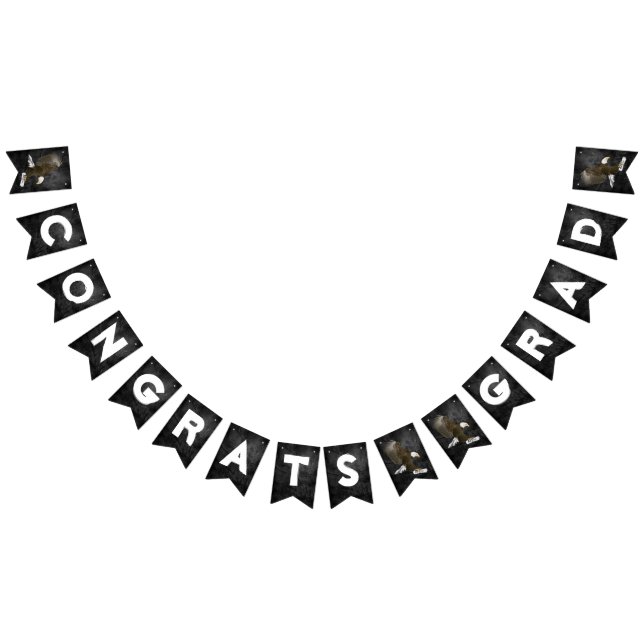 Graduation 2025 Bald Eagle On Leather Bunting Flags (All)