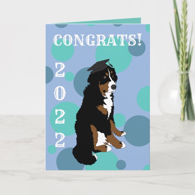 Graduation Bernese Mountain Dog  Card (Front)