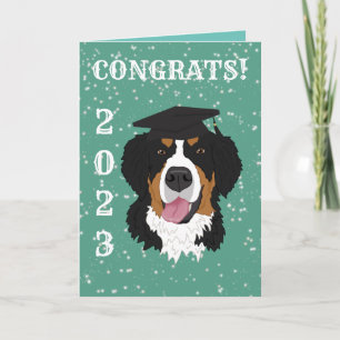 Graduation Bernese Mountain Dog Card