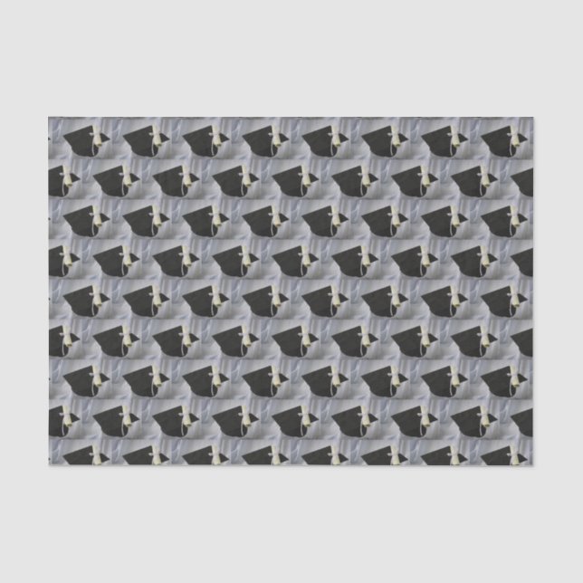 Graduation Cap & Diploma Tissue Paper (Front)