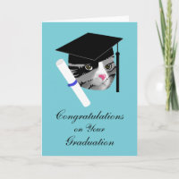 Graduation Cat