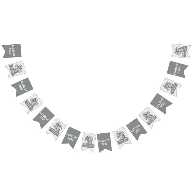 Graduation Celebratory bunting banner (All)